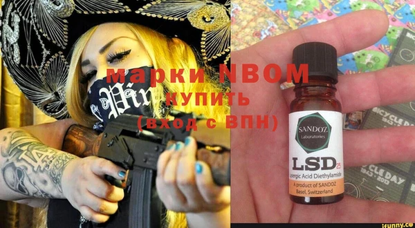 индика Каменногорск