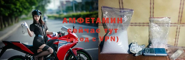 амф Касимов