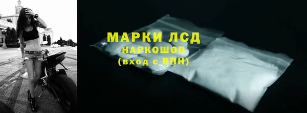 мдпв Каменка