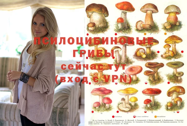 альфа пвп VHQ Иннополис