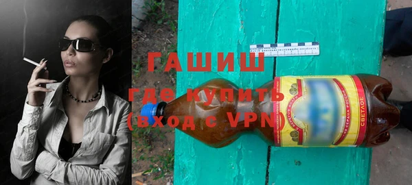 индика Каменногорск