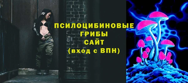 прущие грибы Каменск-Шахтинский